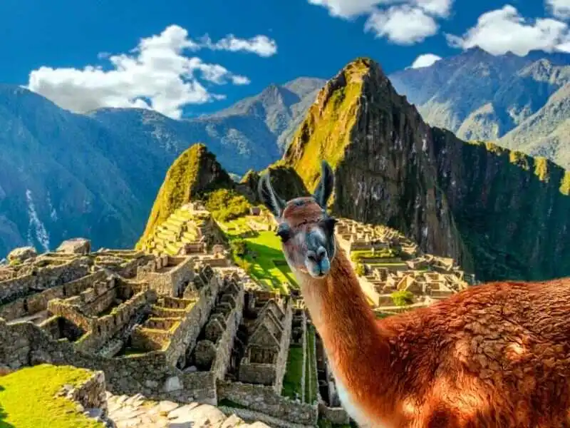 Machu Picchu Full Day